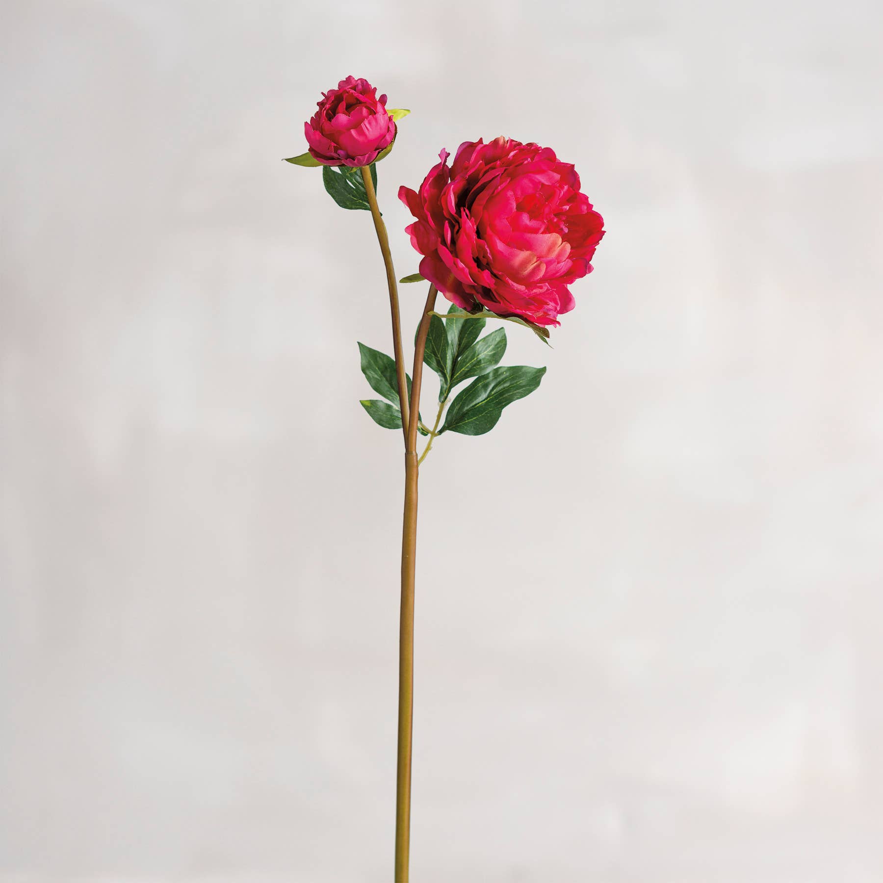 Dark pink peonies floral pick with lush petals and green leaves, perfect for home decor. A realistic artificial peony stem from the Botanical Collection.