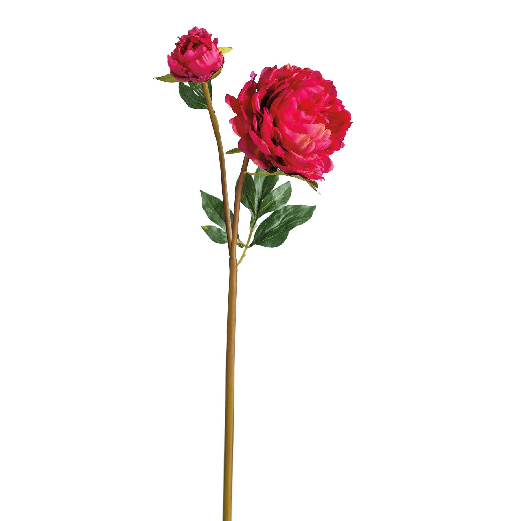 Artificial dark pink peony floral pick with a long stem and green leaves. Ideal for enhancing home decor with a natural botanical touch.