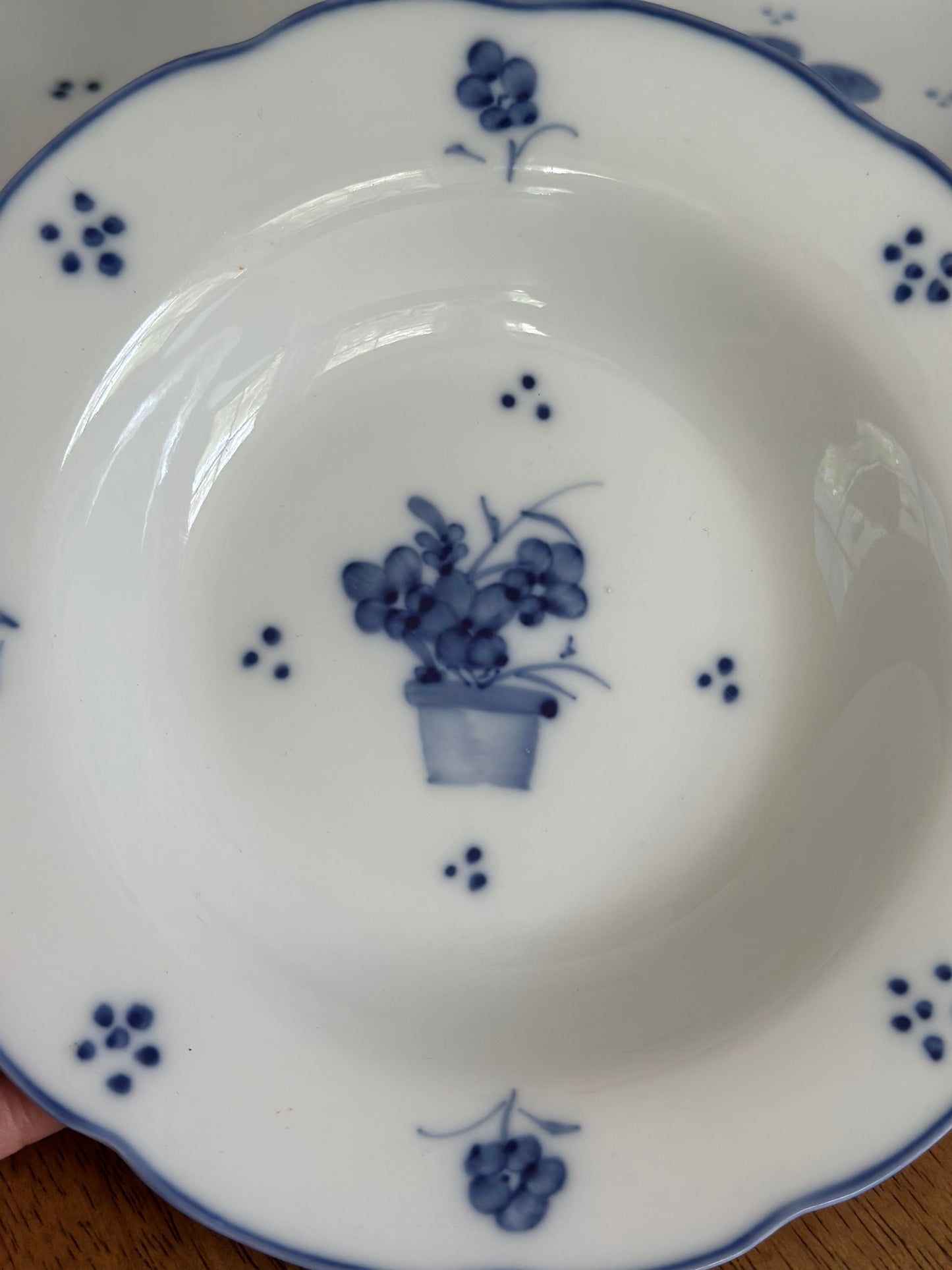 Vintage Blue & White Floral Bowls (7)