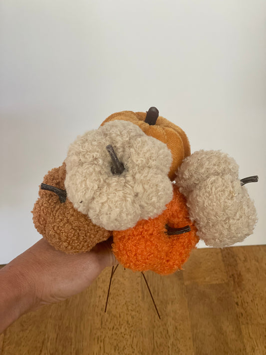 Assorted Pumpkin Pick Set (5)