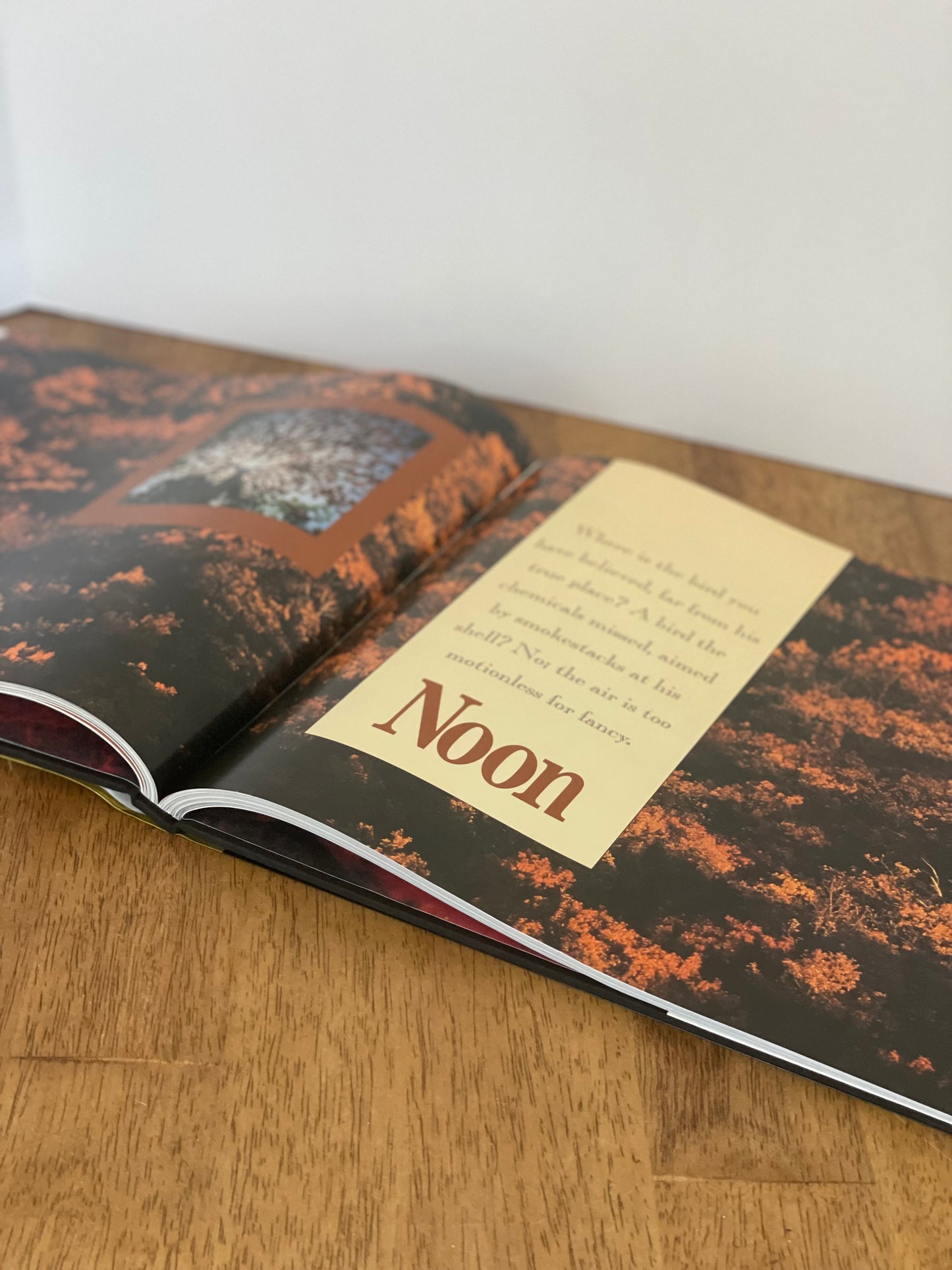 "Southern Light" Coffee Table Book