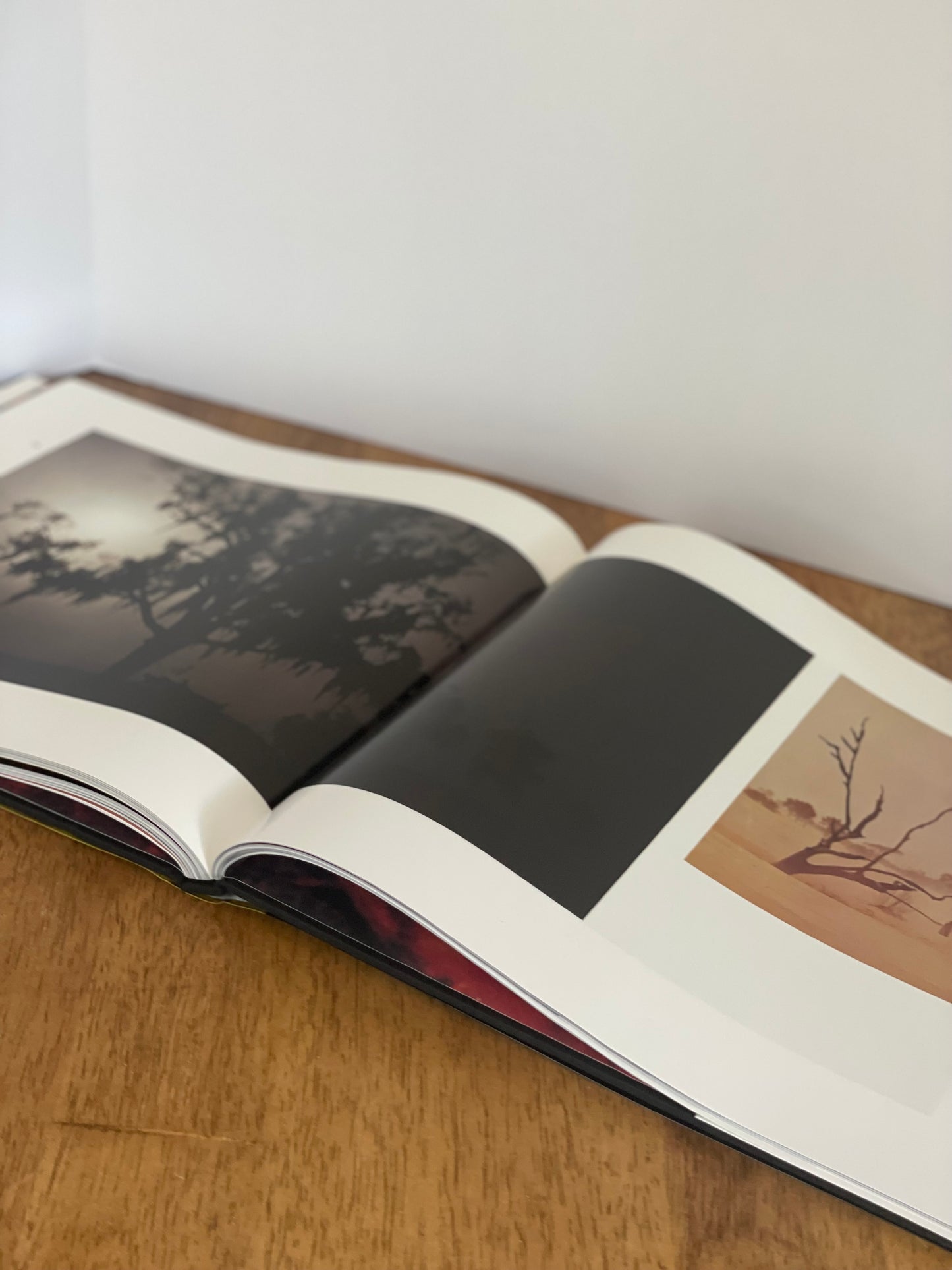 "Southern Light" Coffee Table Book