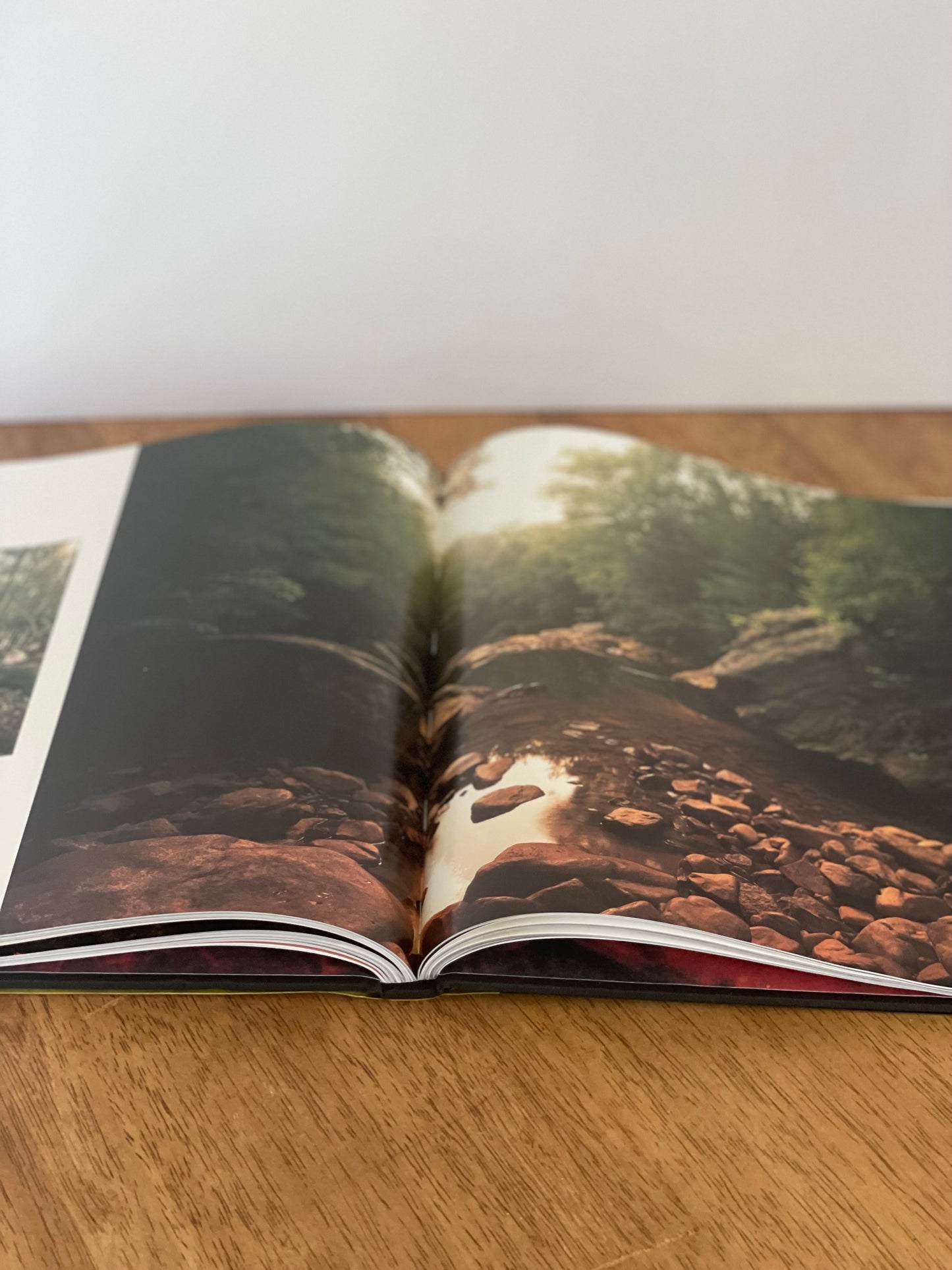 "Southern Light" Coffee Table Book