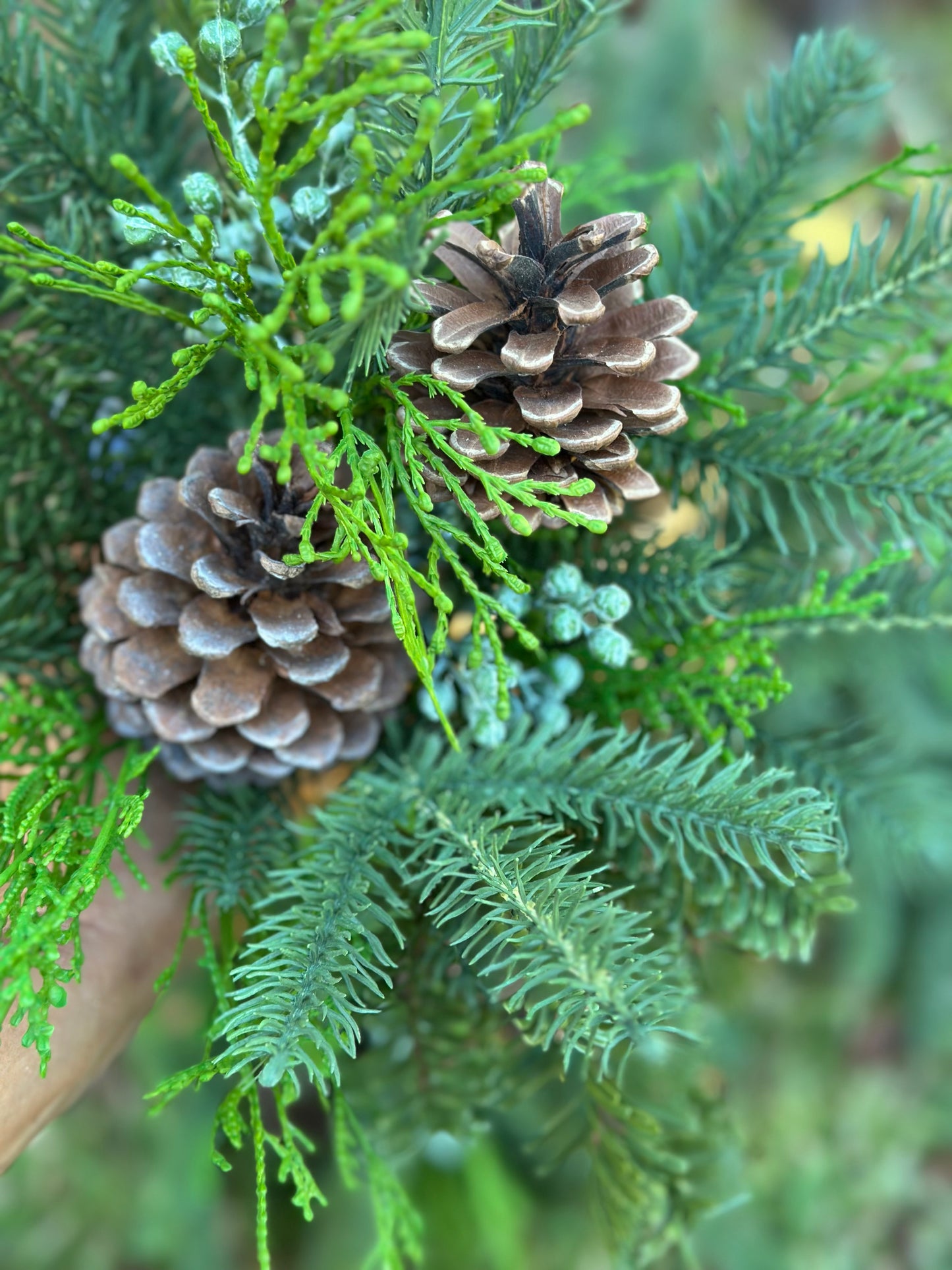 18' Angel Pine & Cypress Bush