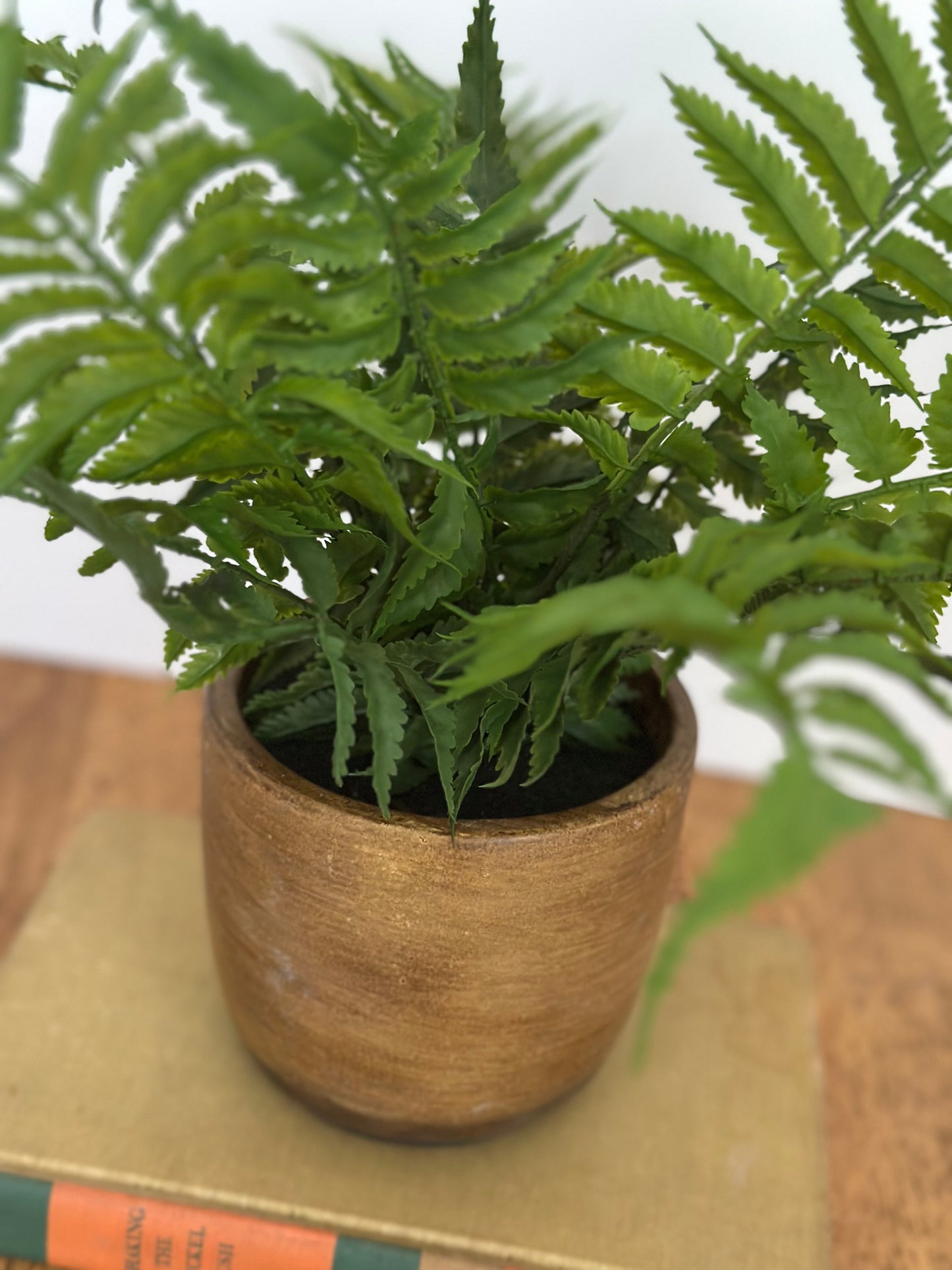 Potted Faux Fern