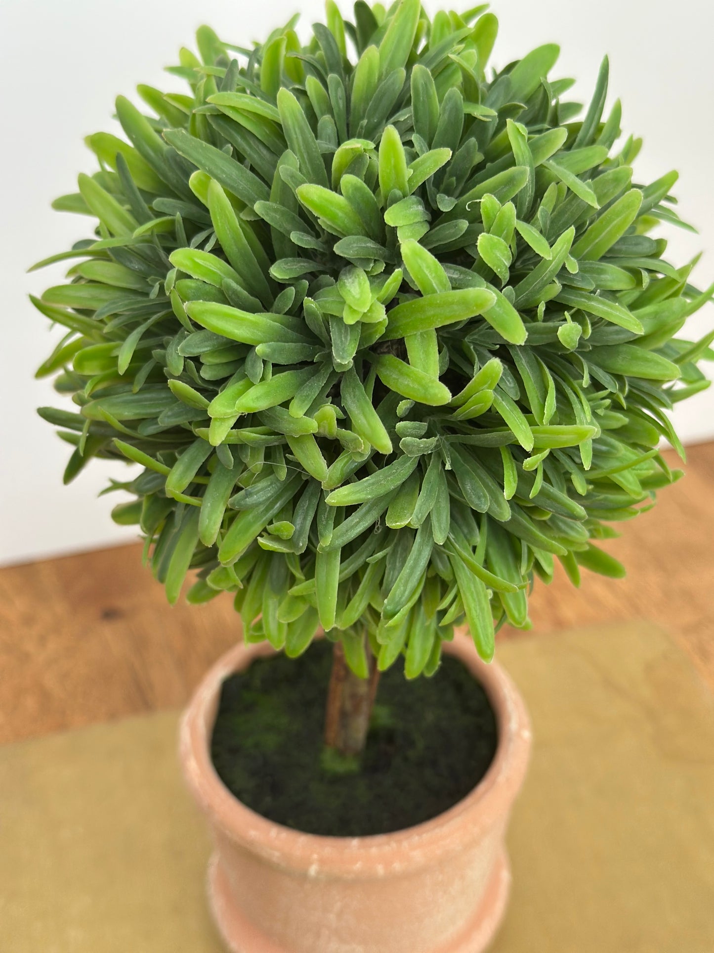 9" Potted Mini Topiary