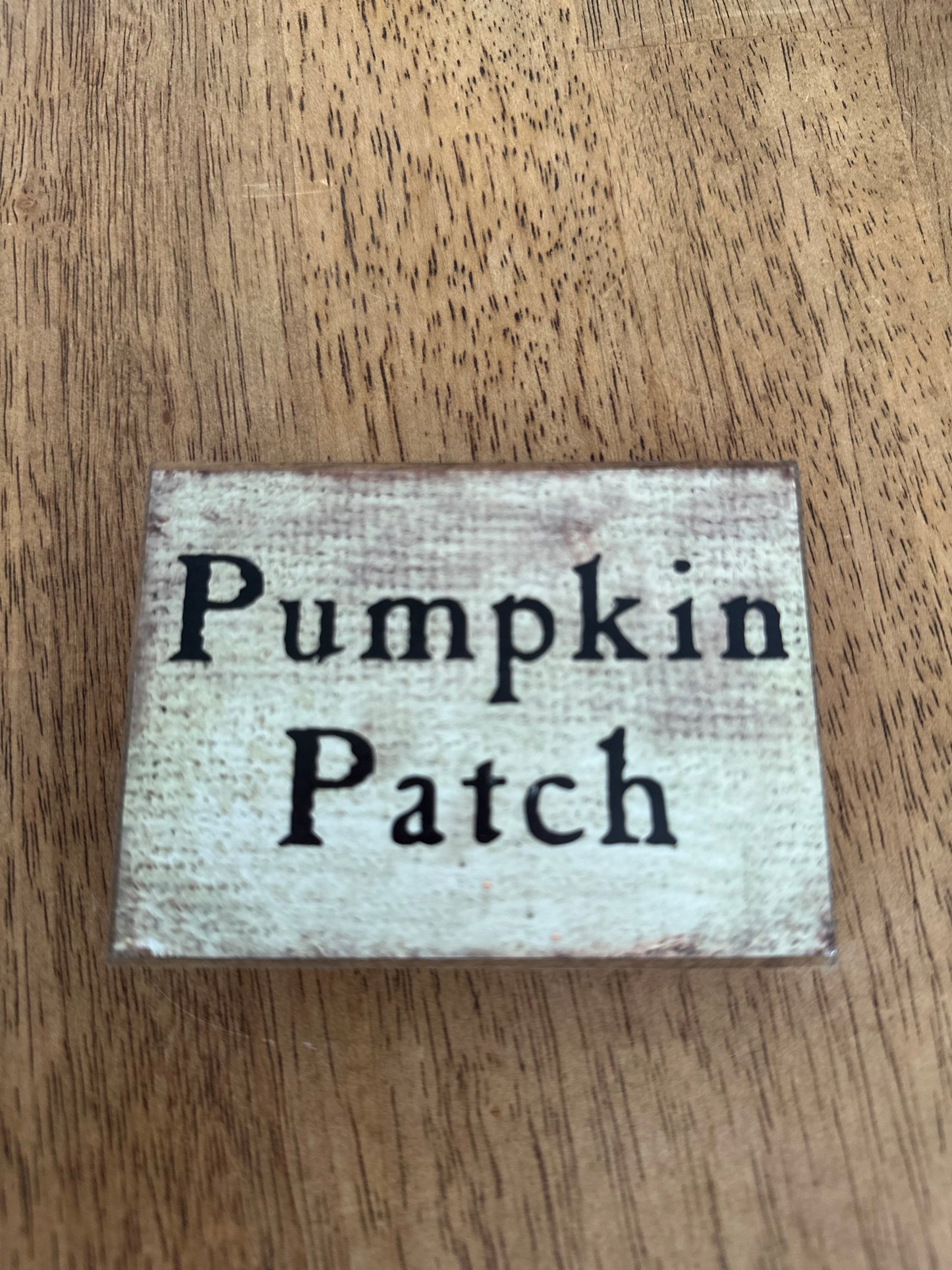 Pumpkin Patch Shelf Sitter