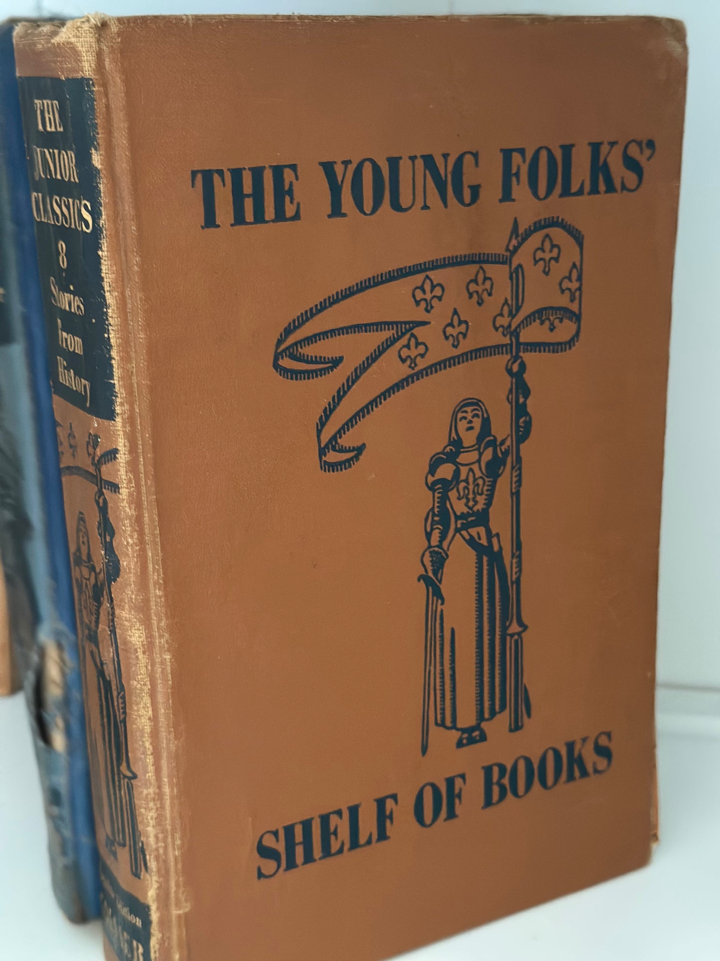 Vintage "The Young Folks" Shelf Books Set (2)