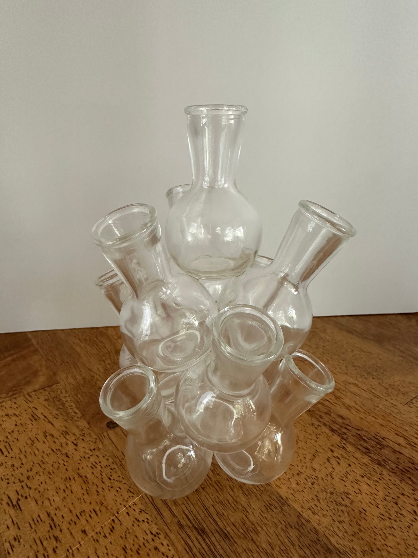 Vintage glass 10 Cluster Bud Vase Propagation