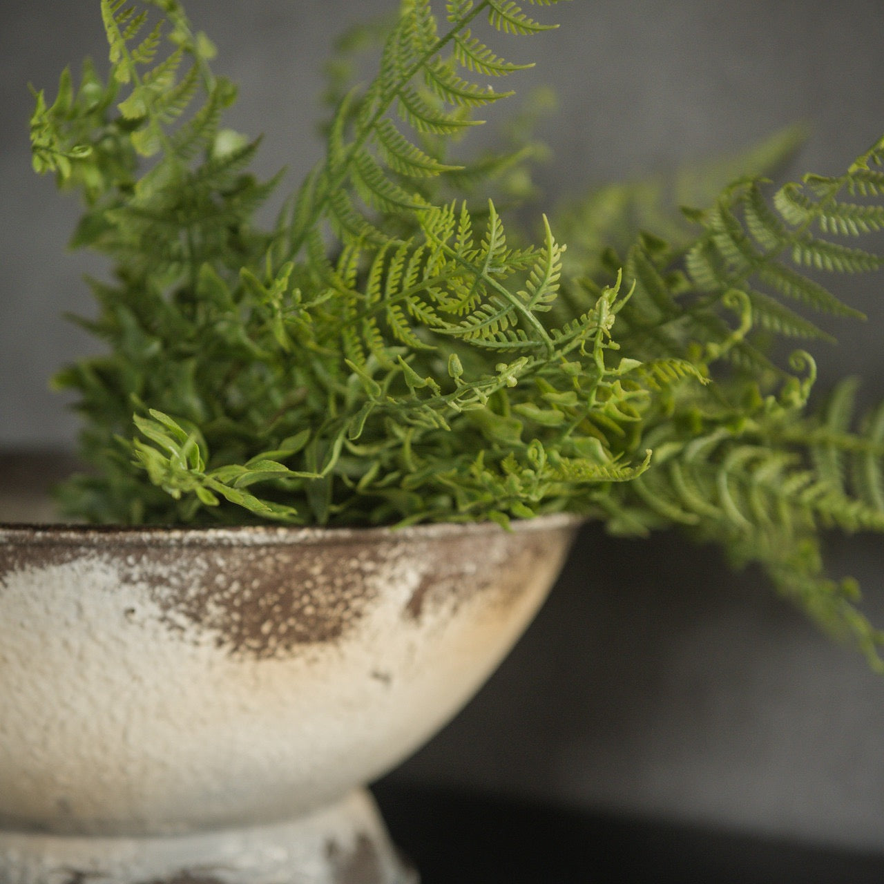 Lush faux Buckler Fern Bush arranged in a rustic ceramic pot, showcasing its realistic greenery. A perfect low-maintenance home decor accent.