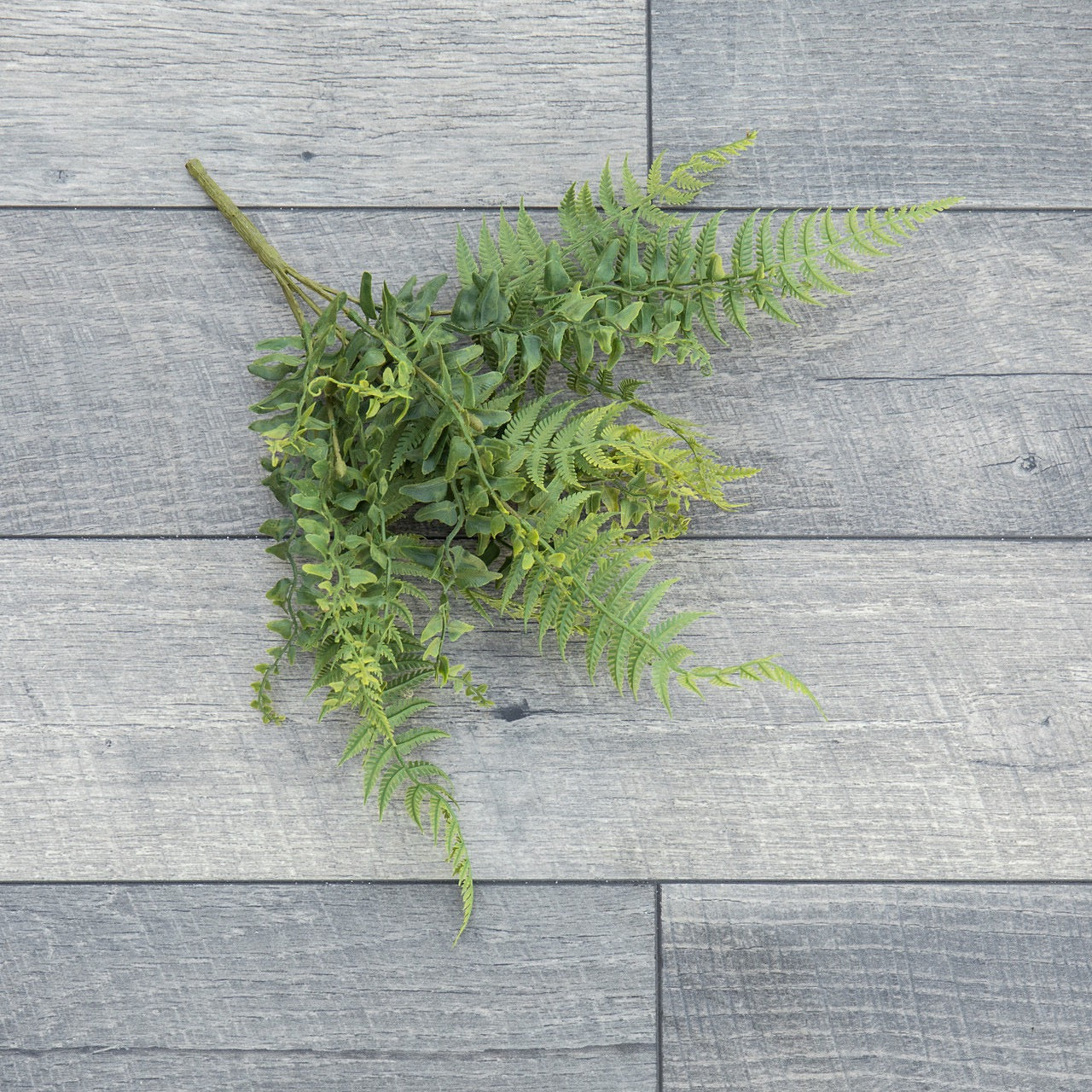 Artificial 15-inch Buckler Fern Bush with lifelike green fronds, displayed on a gray wooden surface. Ideal for indoor botanical decor.