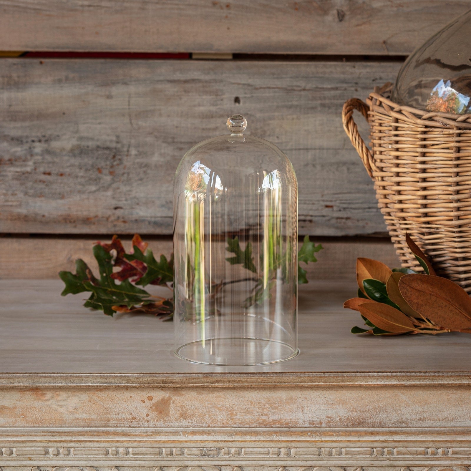 Large glass dome with knob, perfect for displaying decorative items. Elegant home decor piece for tables and shelves.