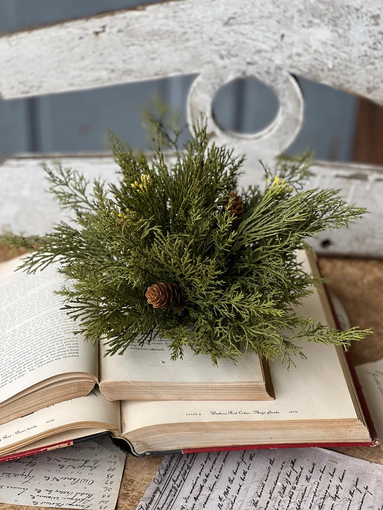 Lush Alpine Cedar Half Sphere with pine cones resting on an open book. A charming artificial greenery accent for home and seasonal decor.