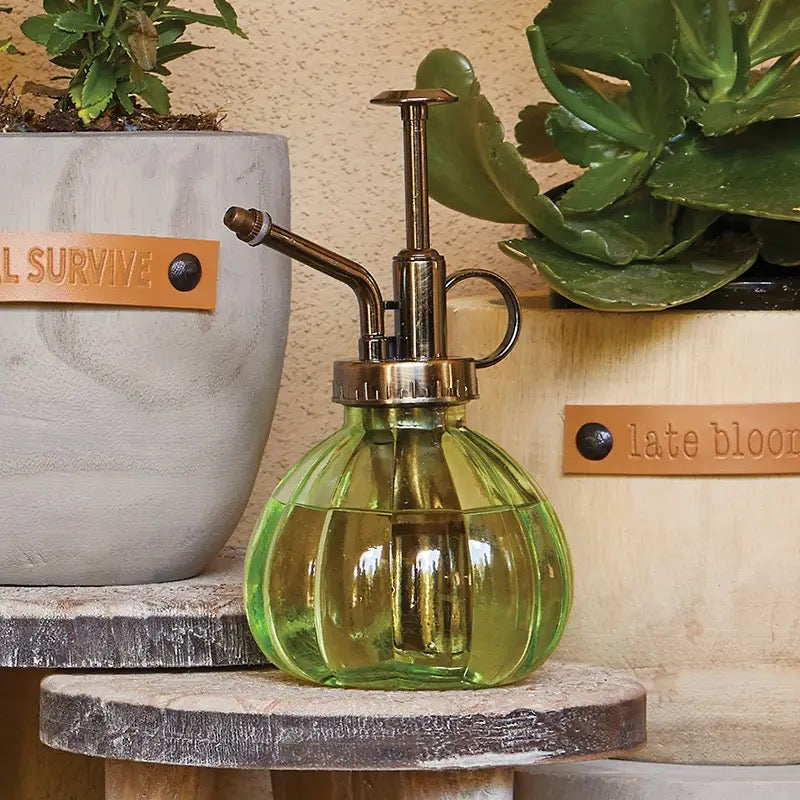 Elegant green glass plant mister with a brass pump, placed among potted succulents. A stylish and functional watering tool for home and garden use.