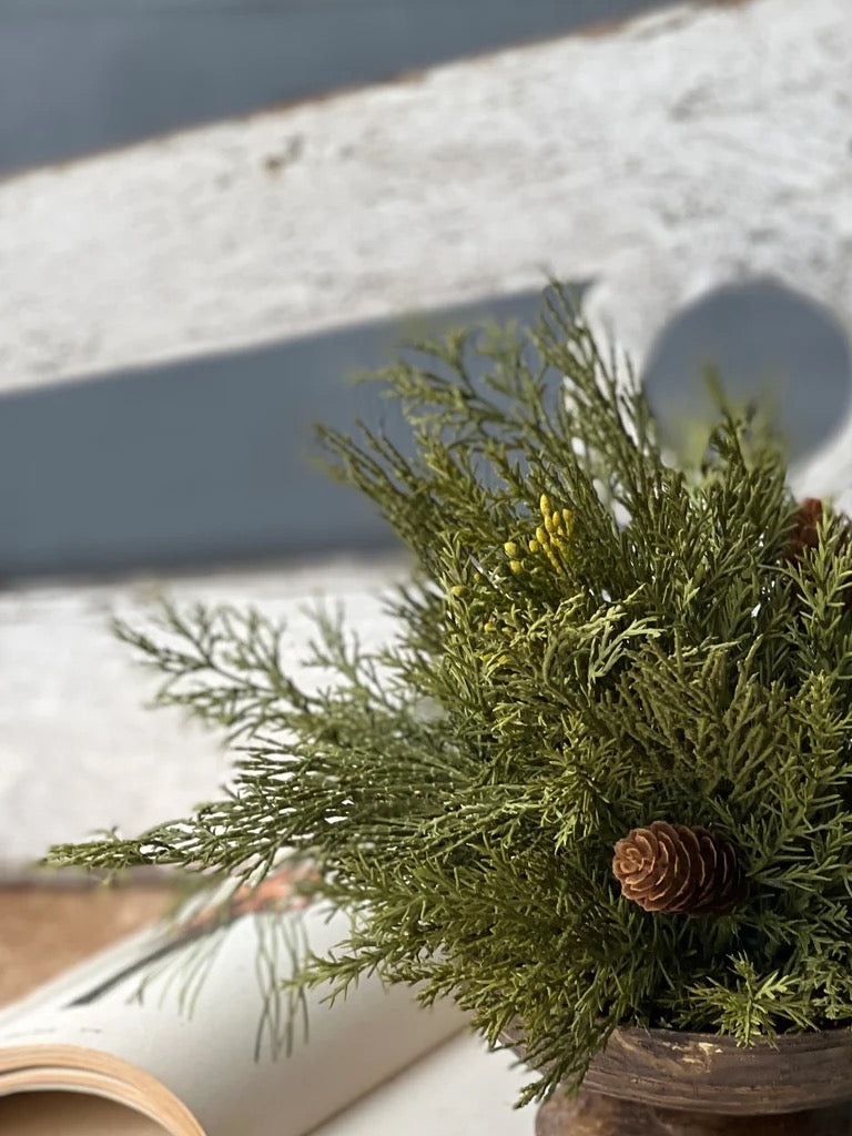 Close-up of Alpine Cedar Half Sphere showcasing detailed cedar foliage and pine cones. Ideal for adding a natural touch to any decor setting.
