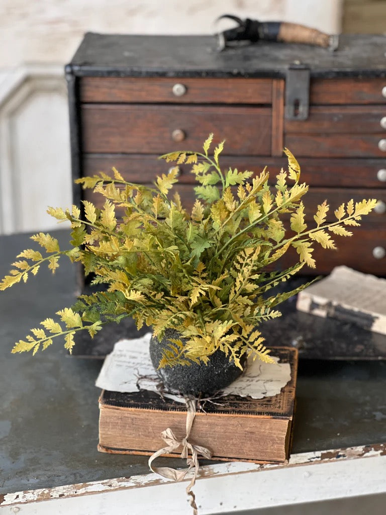Rooted Fern Lace - Fall 11.5'' artificial plant with vibrant autumn foliage in a rustic black pot. Perfect for home and garden decor.