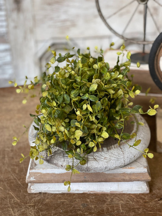 Bog Pimpernel Half Sphere - 12" artificial plant decor with lush green foliage, perfect for home decor, floral arrangements, or centerpieces.