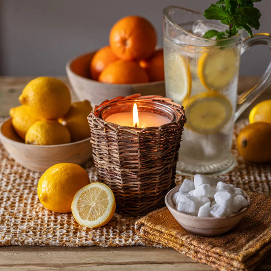 Porch View Home - Lemonade Stand