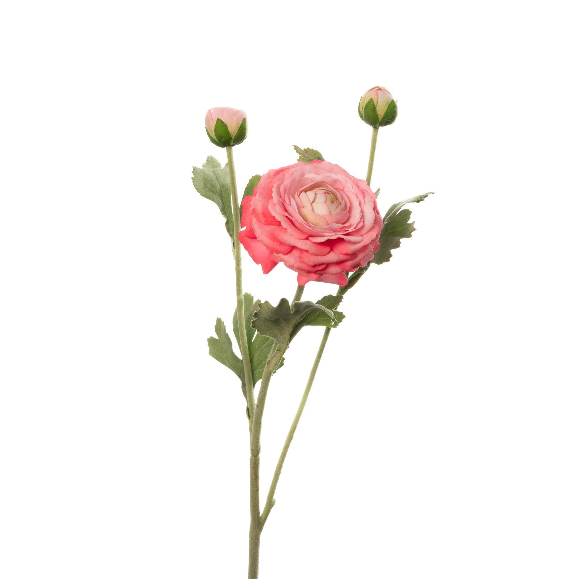 Real Touch Ranunculus - Fuchsia, 19-inch artificial flower with soft, lifelike petals and realistic green leaves. Perfect for home decor and floral arrangements.