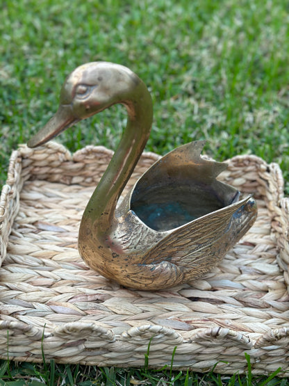 Vintage Brass Swan Planter (Looking Down)