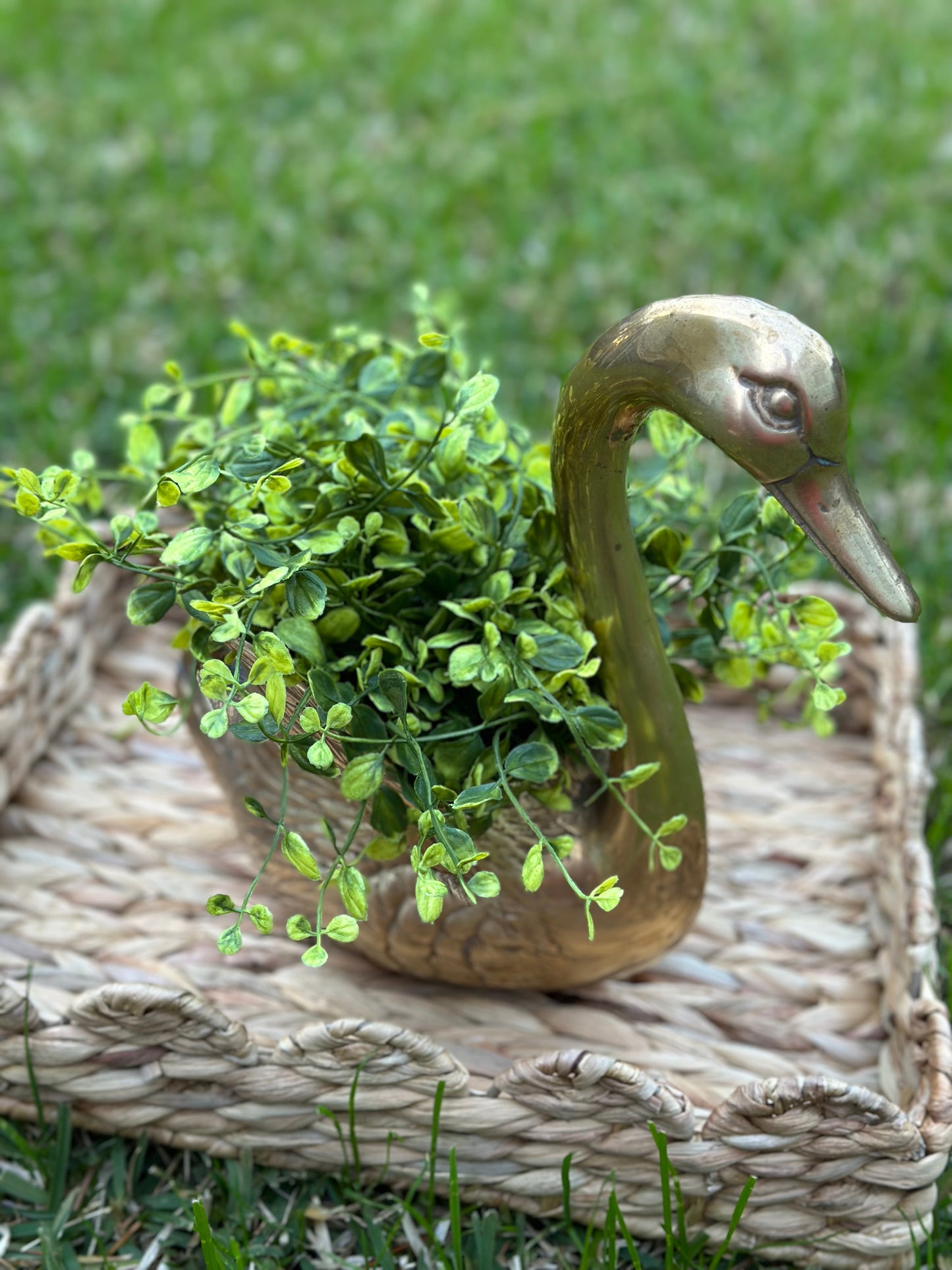 Vintage Brass Swan Planter (Looking Down)