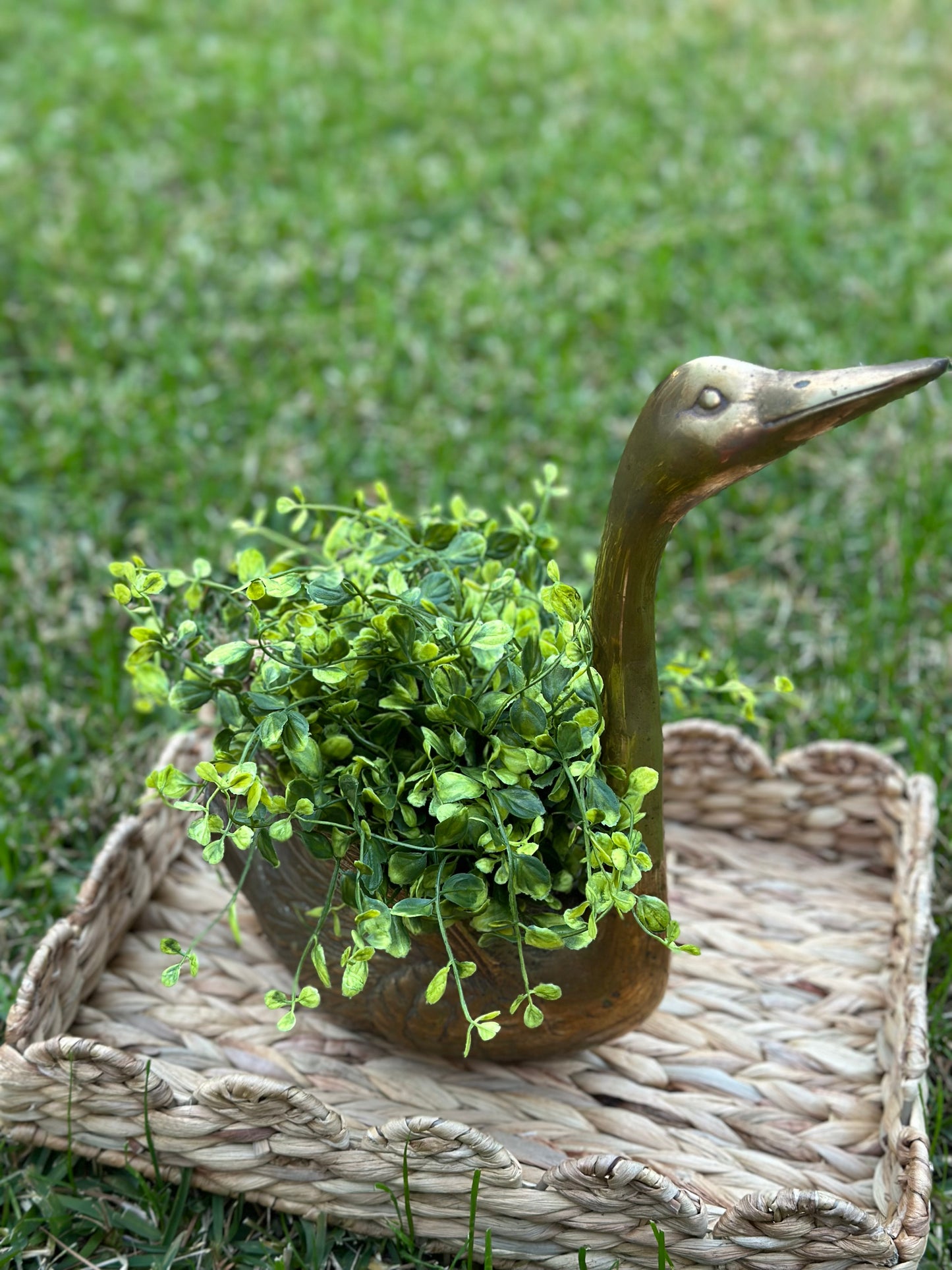 Vintage Brass Swan Planter (Looking Up)