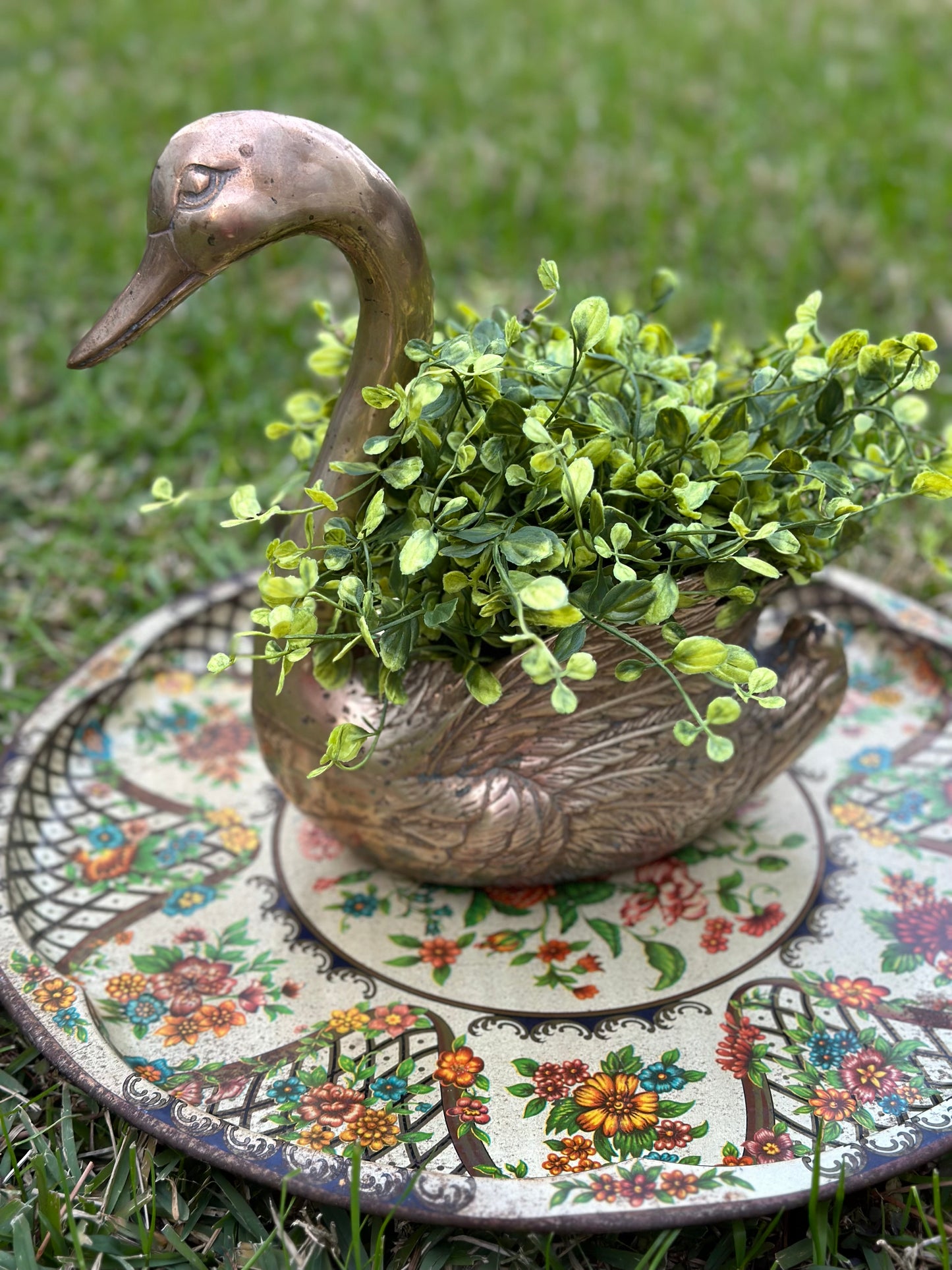 Vintage Brass Swan Planter (Looking Down)