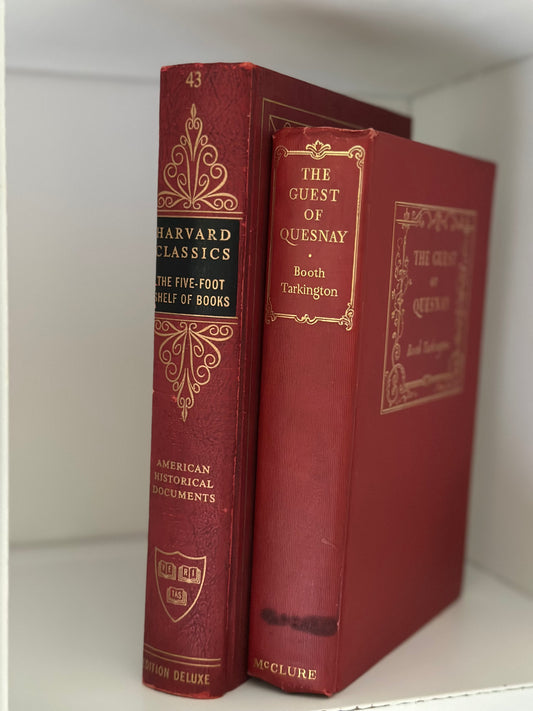 Vintage Books (2)