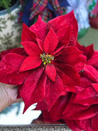 10" Red Velvet Poinsettia w/Clip