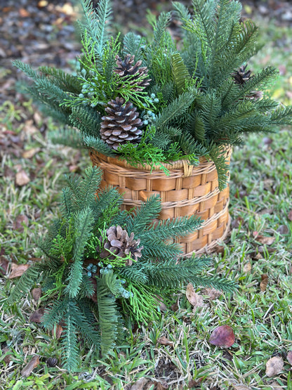 18' Angel Pine & Cypress Bush