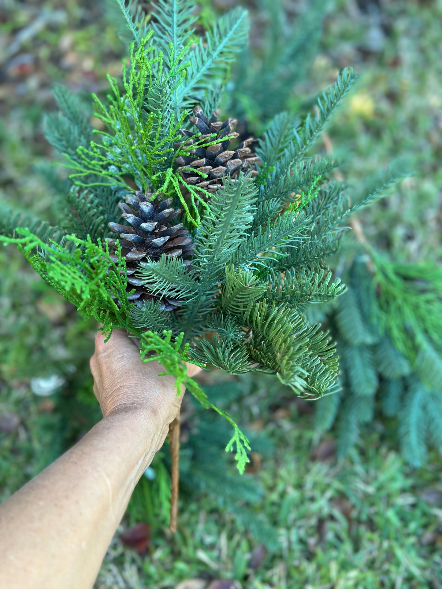 18' Angel Pine & Cypress Bush