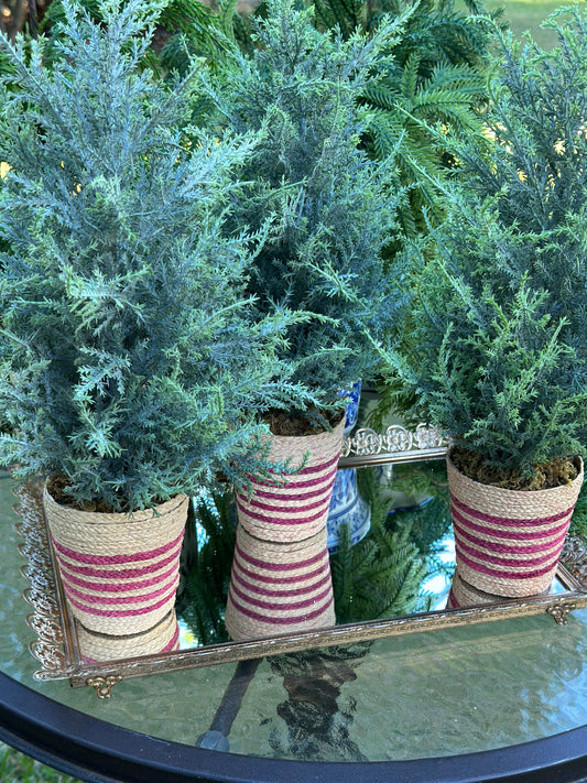 16" Potted Red Stripe Mini Tree