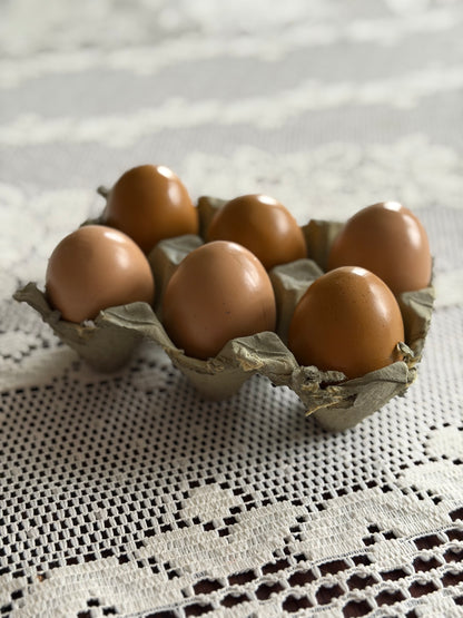 Brown Wooden Eggs in Carton (6)