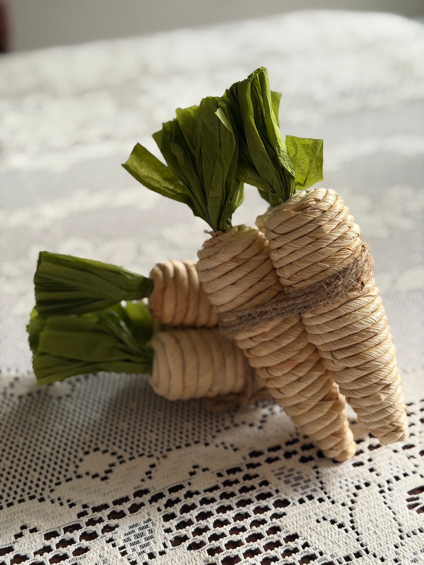 Neutral Carrot Bunch (2)