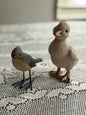 Duckling and Bird Decor