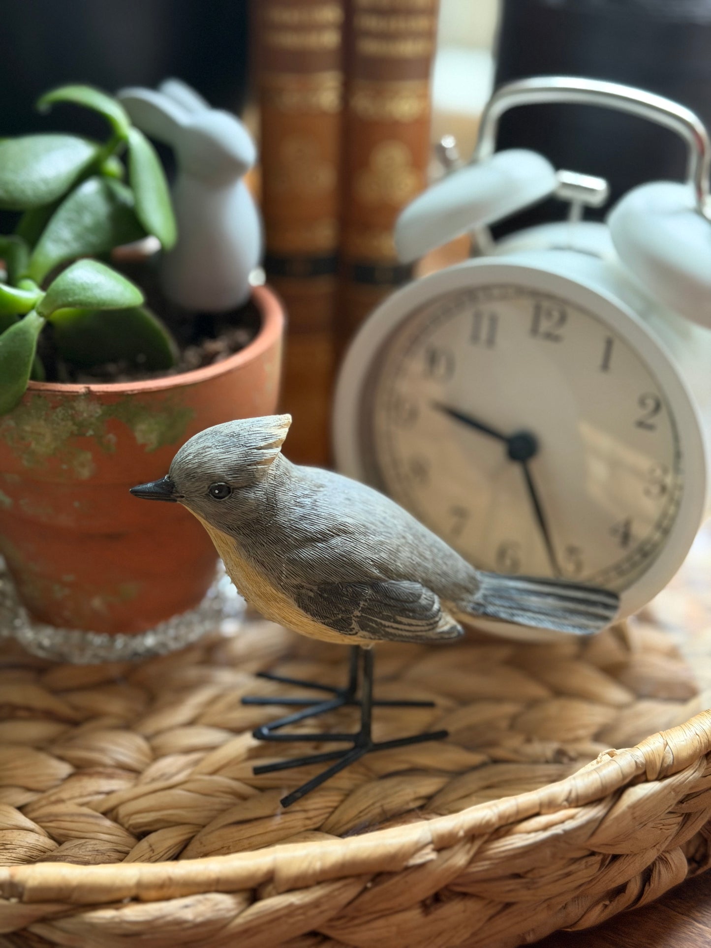 Duckling and Bird Decor