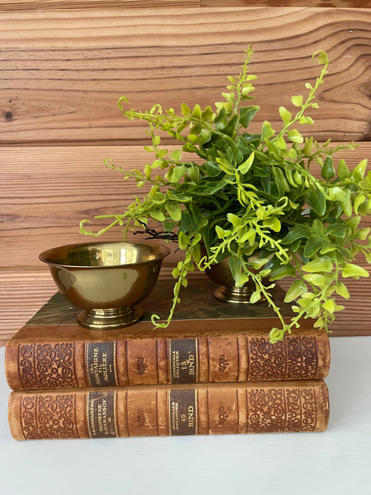 Vintage Mini Brass Bowl Set (2)