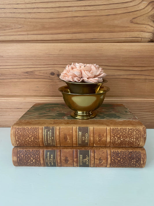 Vintage Brass Mini Bowl Set (2)