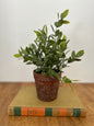 Faux Potted Plant