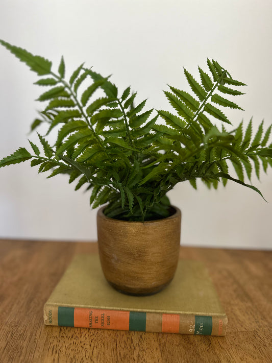 Potted Faux Fern