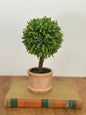 9" Potted Mini Topiary