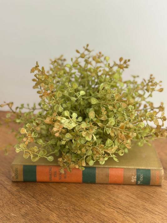 8" Baby Grass Half Sphere