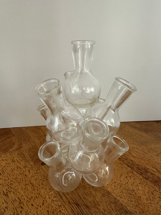 Vintage glass 10 Cluster Bud Vase Propagation