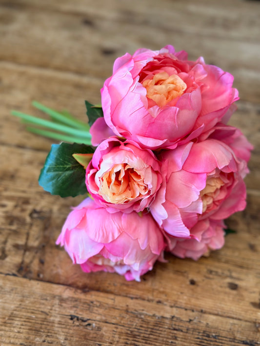 Pink Peony