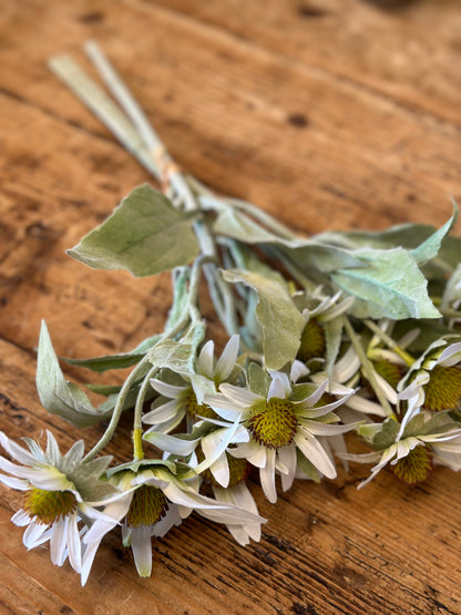 White Daisy (3 Stem)