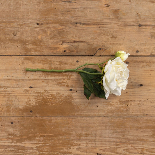 Cream Peony Spray 15-inch with realistic petals and lush green leaves, laid on rustic wooden background. Perfect for floral arrangements and decor.