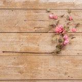 Single 39-inch dark pink hops stem with lifelike blooms and green leaves, displayed on a wooden surface for a natural, rustic touch.