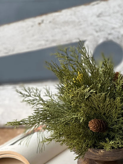 Close-up of Alpine Cedar Half Sphere showcasing detailed cedar foliage and pine cones. Ideal for adding a natural touch to any decor setting.
