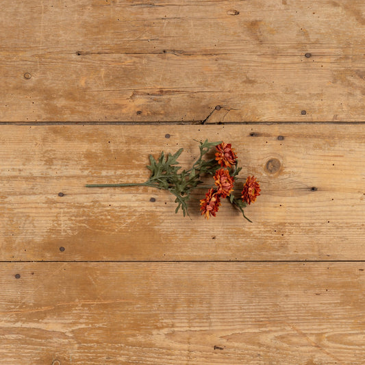 Burnt Orange Strawflower Pick - 11"