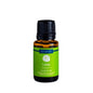 Lime Essential Oil